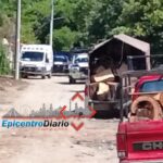 Mujer muere tras caída de árbol sobre automóvil en la Recta a Cholula; otra persona más resultó lesionada