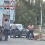 A balazos, asesinan a un hombre en la colonia Guadalupe El Conde; agresores escapan