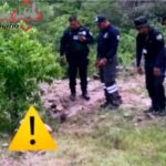 Cuatro personas lesionadas deja accidente entre autobús y camión en la México-Puebla