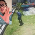 Policía de San Pedro Cholula recuperan tractocamión y remolque con reporte de robo