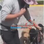 Familia acusa demora y presunto maltrato de personal de SUMA durante atención a una abuelita en Puebla