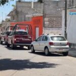 Hasta seis años de cárcel por maltrato animal en Puebla; endurecen castigos y multas millonarias