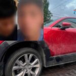 Hasta seis años de cárcel por maltrato animal en Puebla; endurecen castigos y multas millonarias