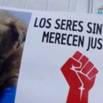 Albañil muere tras sufrir caída durante obra en vivienda de Tehuacán