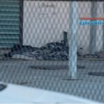 Explota el caso de «las odia viejitos»; Nay Salvatori desafía a Morena y lleva su pleito hasta el (TEPJF)