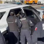 Hombre muere por picadura de alacrán en la Central de Abastos de Puebla